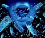 Social living allows genetic effects to spread through the gut microbiome