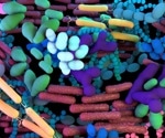 International collaboration develops STREAMS to standardize microbiome data