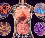 Advances in delivering oxygen-sensitive gut bacteria improve microbial therapies