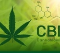 Investigating cannabidiol's role in combating Alzheimer's-related neuroinflammation