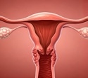 Digital biomarkers revolutionize early diagnosis of endometriosis and pelvic conditions