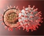 Scientists uncover human proteins hijacked by SARS-CoV-2 for replication