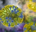 AI reveals how H5N1 virus is evolving to evade human immunity