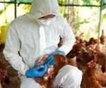 Live H5N1 avian flu virus vaccines show protection in animal studies