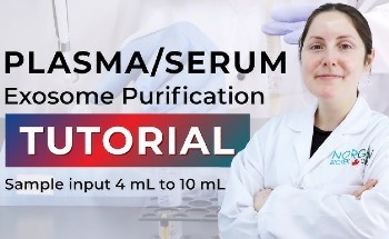 Tutorial for Plasma/Serum Exosome Purification