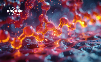 How to Validate and Implement qNMR as a Platform Method for Oligonucleotides